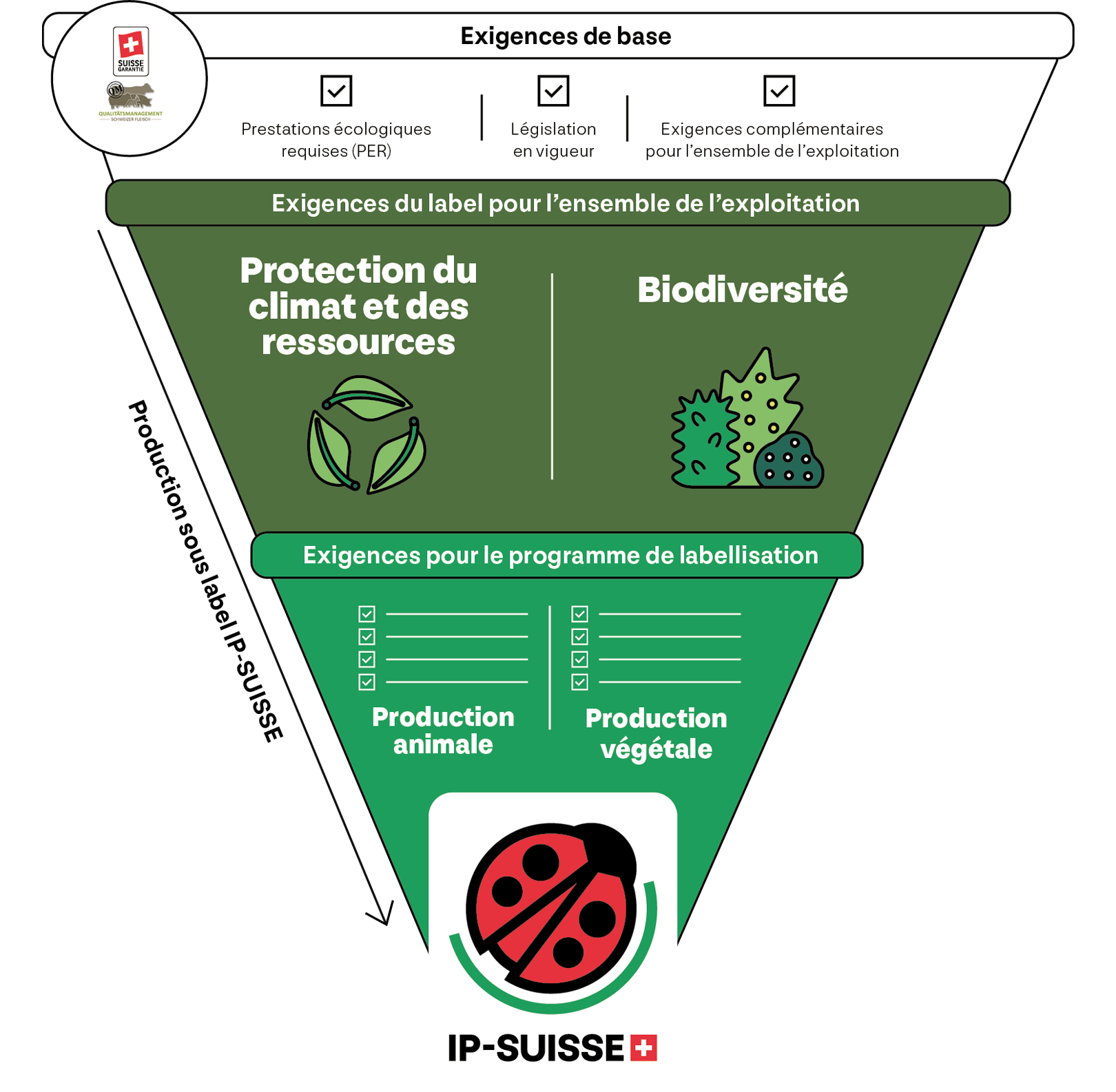 Infografik über ökologische Anforderungen