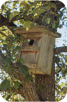 Ein rustikales Vogelhaus auf einem Baum