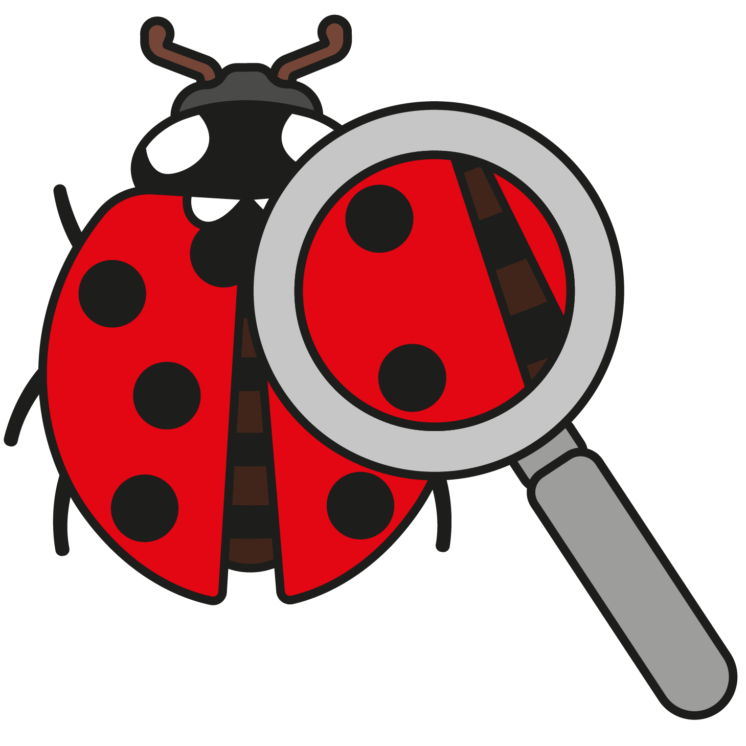 Illustration, Marienkäfer mit Lupe