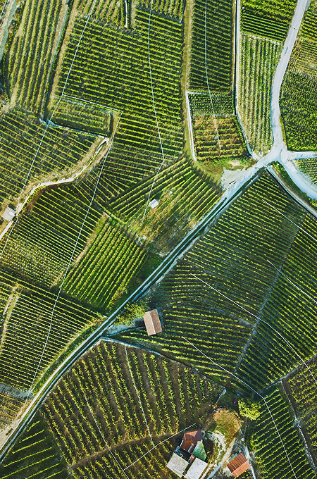 Luftansicht der Weinberge mit Wegen und Häusern
