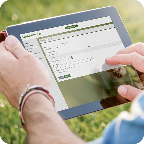 Benutzerinteraktion mit Smartfarm auf einem Tablet