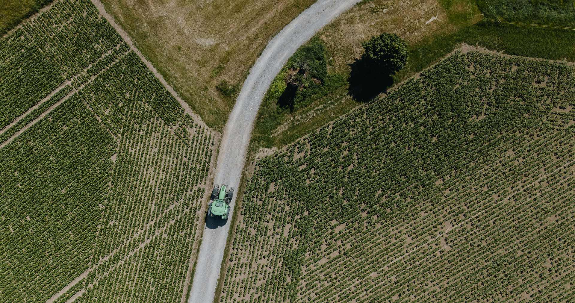 Luftaufnahme eines Traktors auf einer Strasse zwischen grünen Feldern