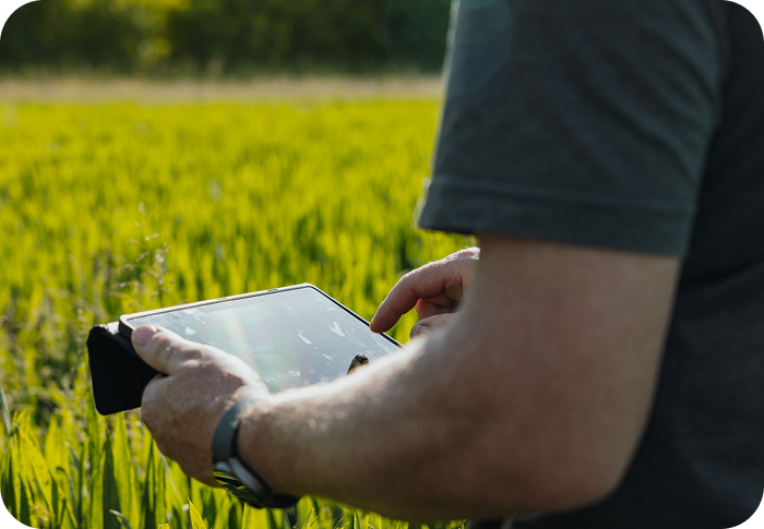 Person mit Tablet im Feld