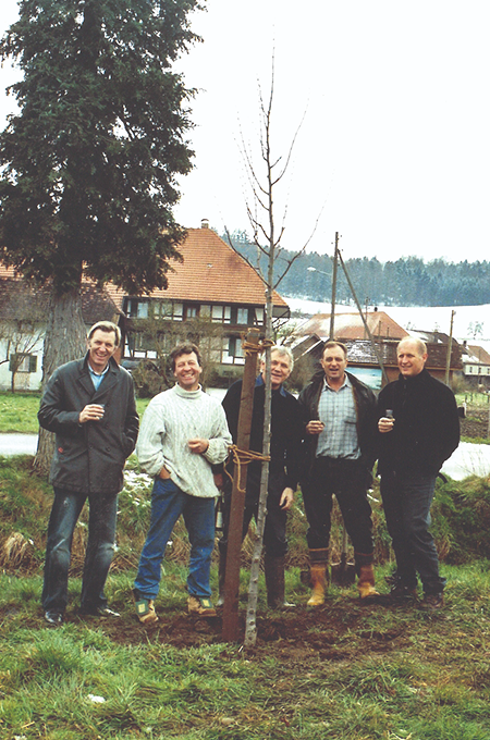 Fünf Männer pflanzen einen Baum.